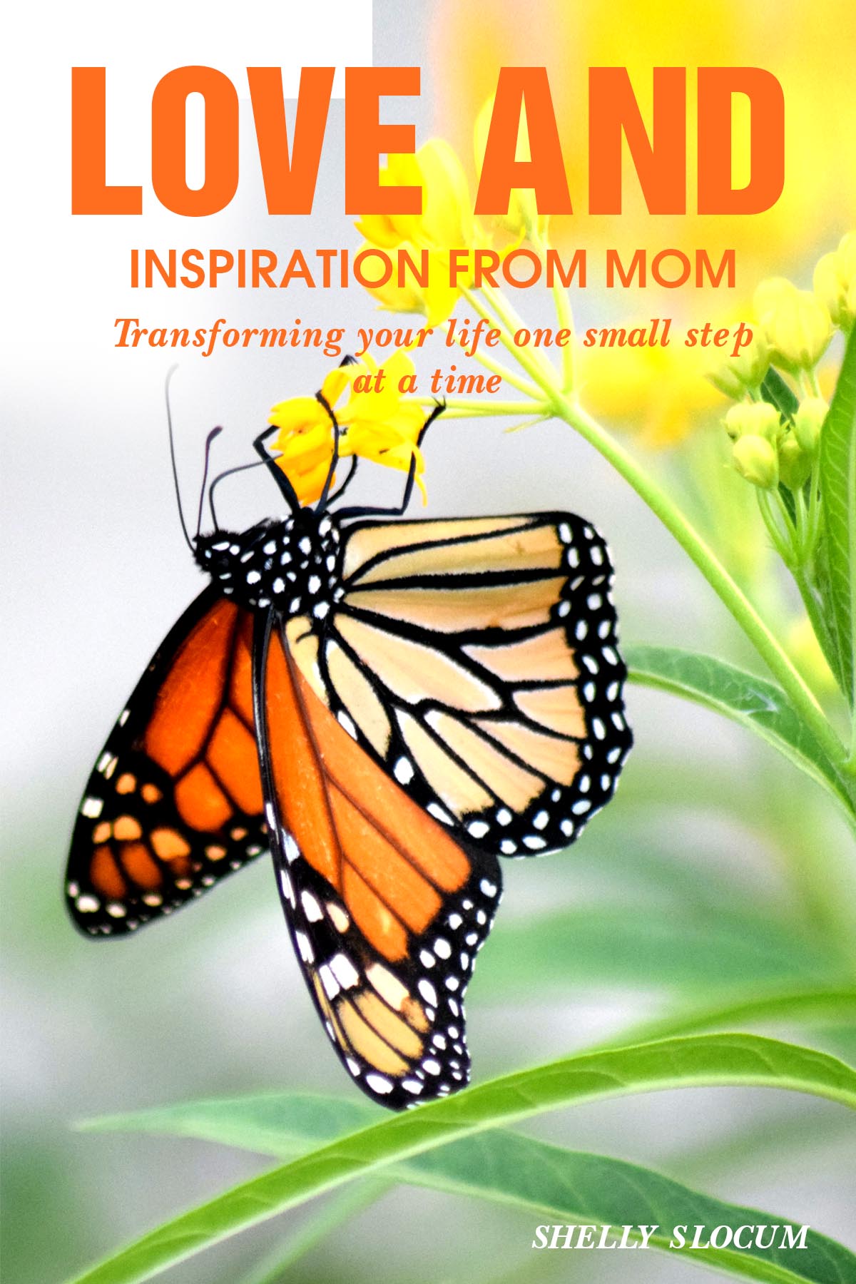 Book Cover Design by Sarah William for this project | Design #27706340