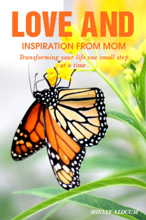 Book Cover Design by Sarah William for this project | Design: #27706340
