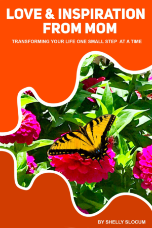 Book Cover Design by Sarah William for this project | Design: #27708794