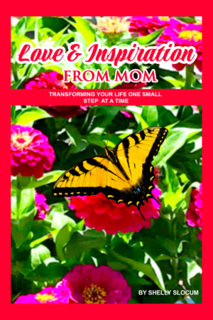 Book Cover Design by Sarah William for this project | Design: #27730622