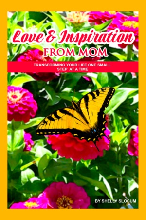 Book Cover Design by Sarah William for this project | Design: #27730623