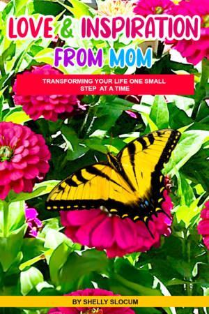 Book Cover Design by Sarah William for this project | Design: #27730916