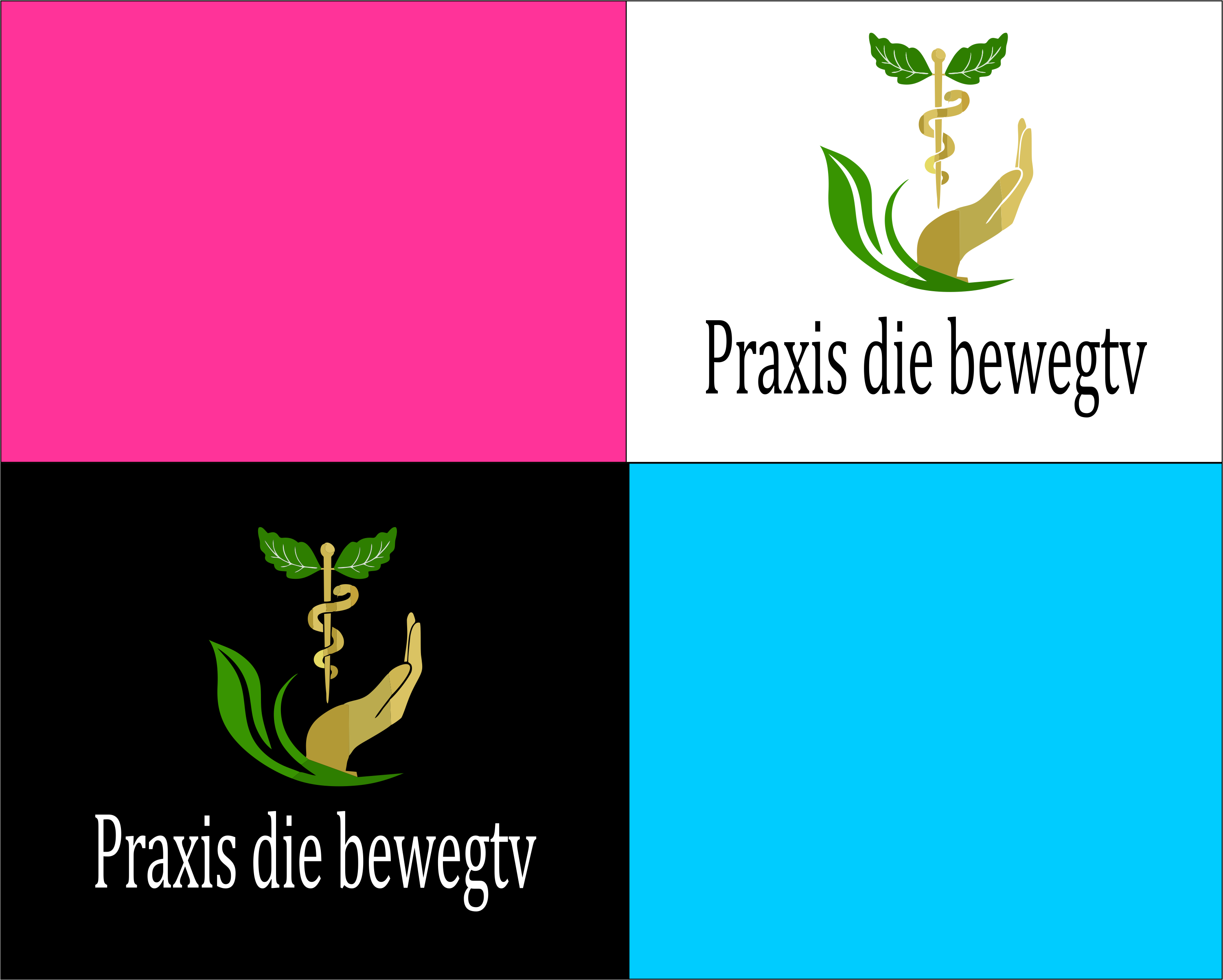Logo-Design von om_patel11011 für dieses Projekt | Design #27760846
