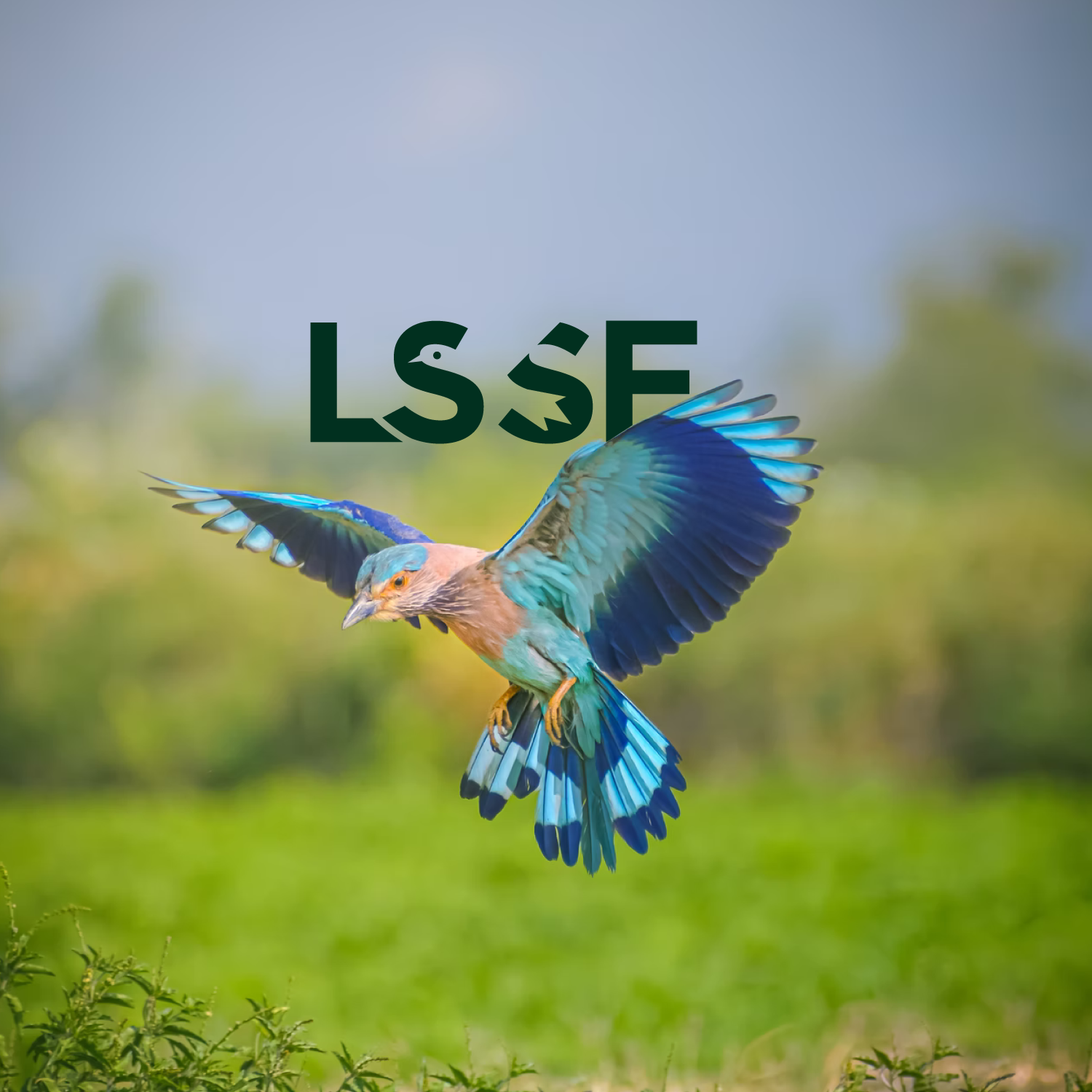 Logo Design by Abdul 20 for this project | Design #27694139