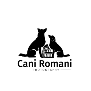 Logo Design by dskyvbc for this project | Design #27701343