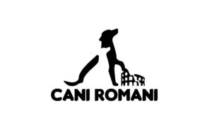 Logo Design by SeeYouOnline for this project | Design: #27701331