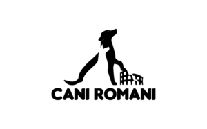 Logo Design by SeeYouOnline