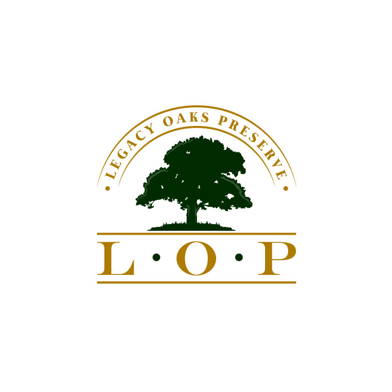Logo Design by Ansh Design for this project | Design #27709056