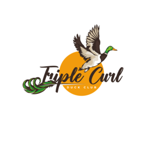 Design de Logo par logoQ pour ce projet | Design : #27748648