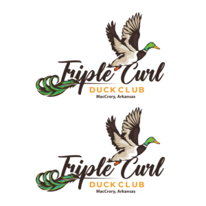 Design de Logo par logoQ pour ce projet | Design : #27752805