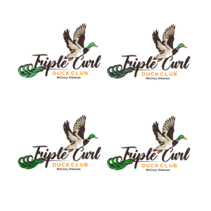Design de Logo par logoQ pour ce projet | Design : #27753352