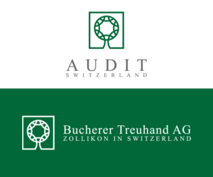 Audit | Logo Design by EvoGo Designers