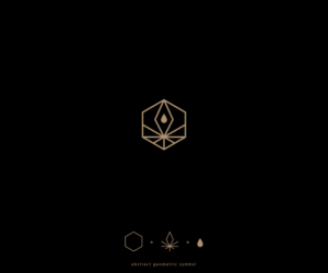 Logo-Design von Vetroff für dieses Projekt | Design: #27715627