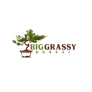 Logo Design by Dream Logo Design for this project | Design: #27716458