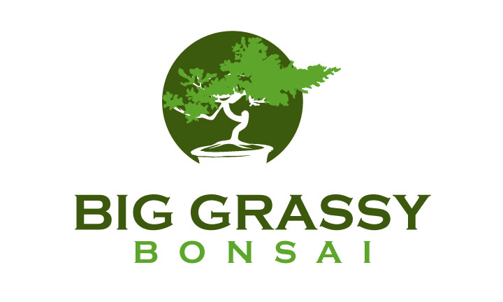 Diseño de Logo por logoQ para este proyecto | Diseño #27733109