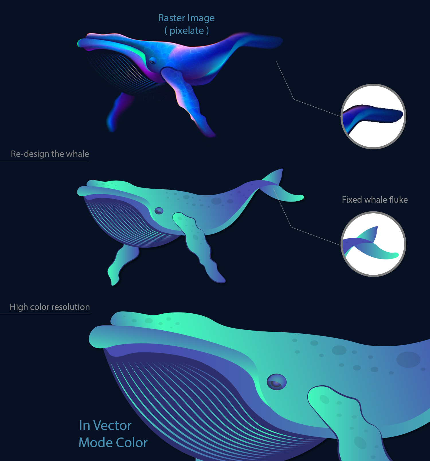 Illustration Design by Krypton Designer for this project | Design #27726428