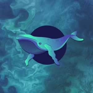 Whale Illustration For Sustainability Focused Crypto | Illustration Design by Krypton Designer