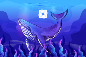 Whale Illustration For Sustainability Focused Crypto | Illustration Design by wahyu azizi