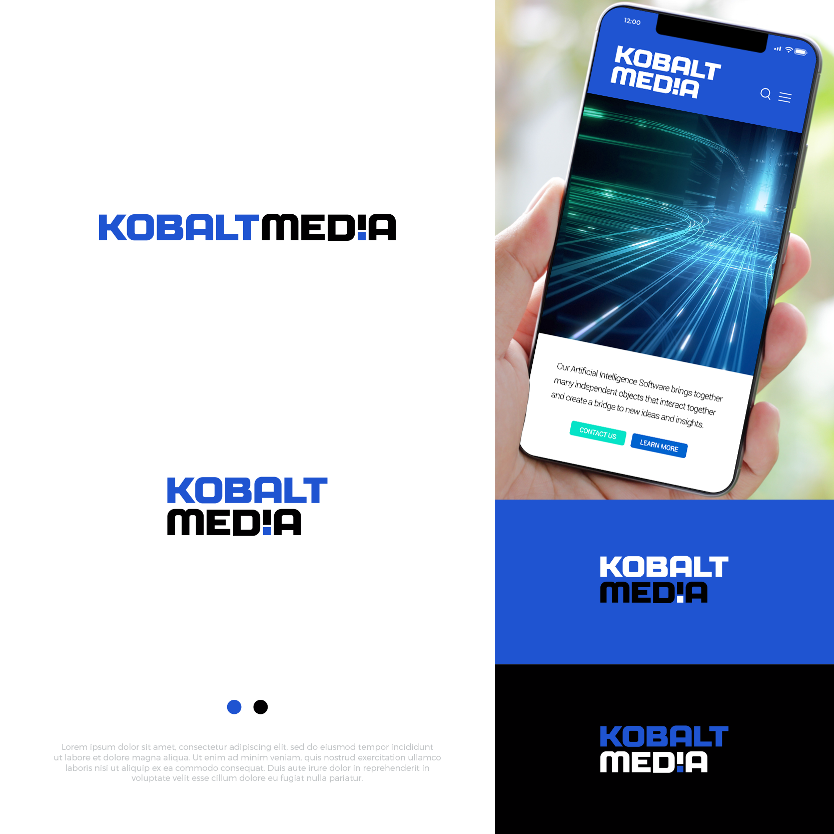 Diseño de Logo por airborne para este proyecto | Diseño #27724042