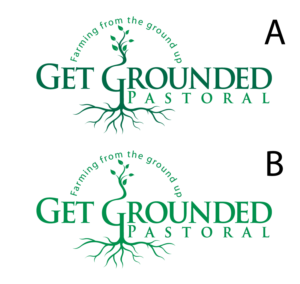 Logo Design by blue eye