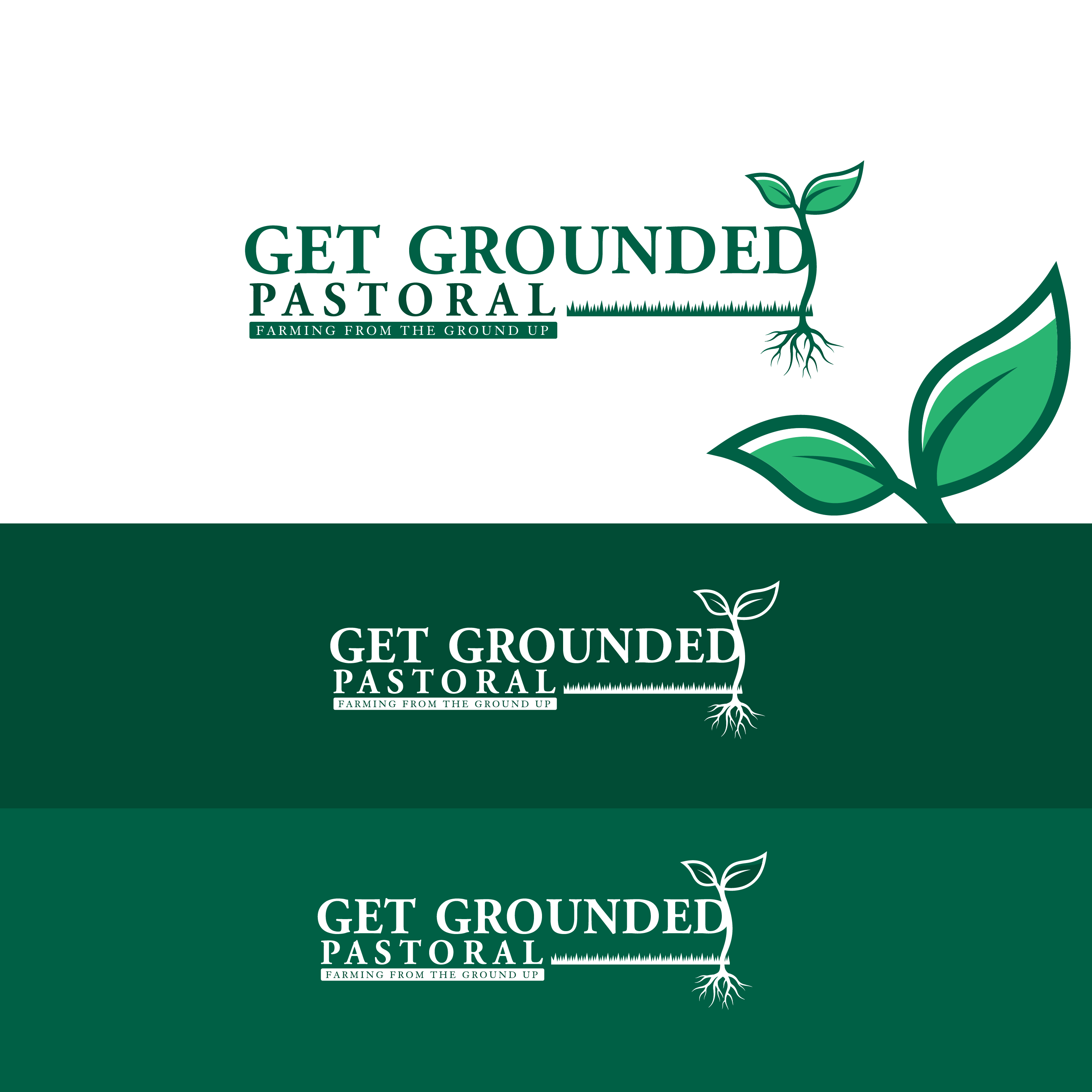 Logo Design by Raheel Dildar for this project | Design #27724038