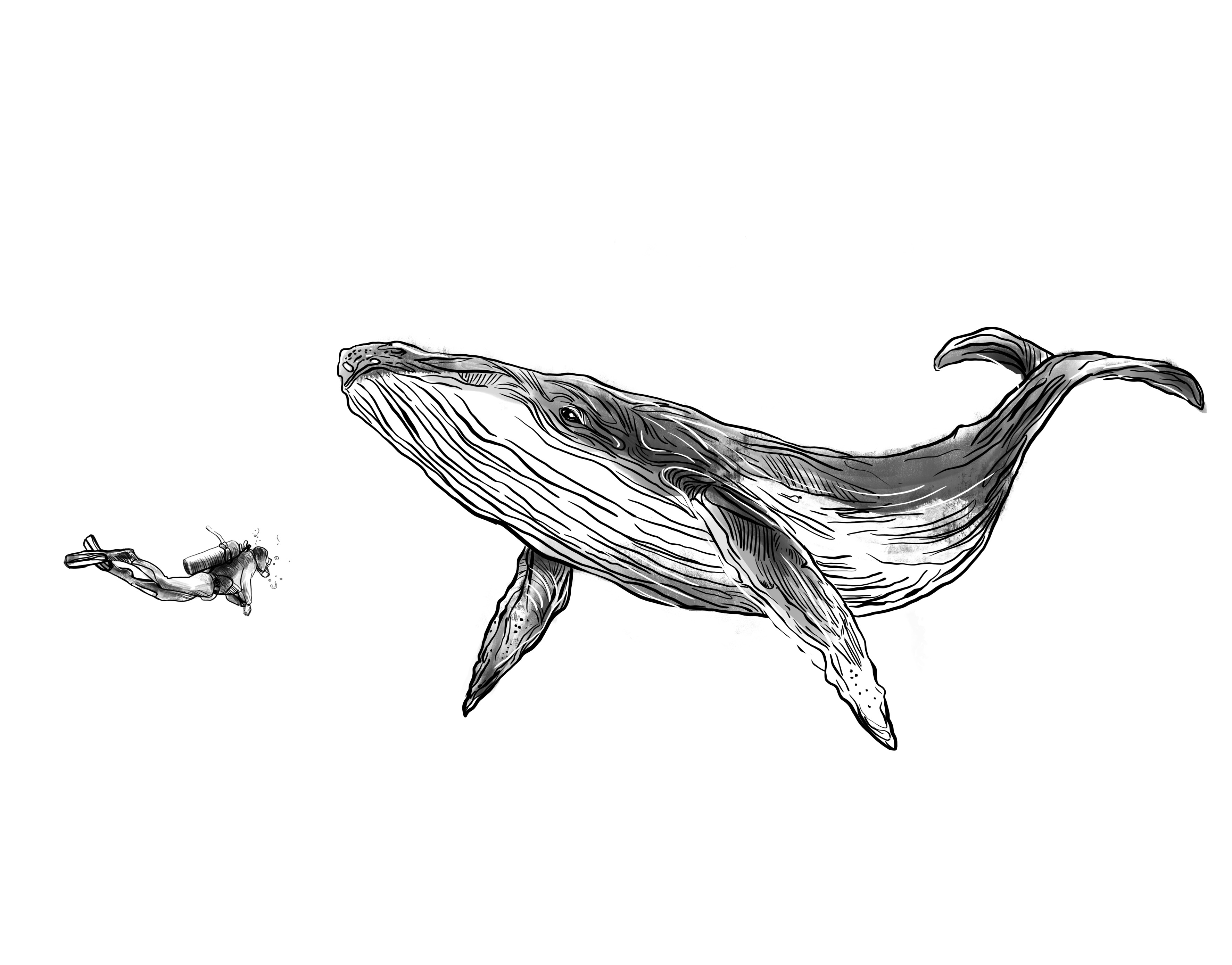 T-shirt Design by mrsff for this project | Design #27734981