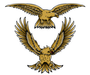 Improvement and redraw of 2 vector eagle designs | Graphic Design by Andi Yan