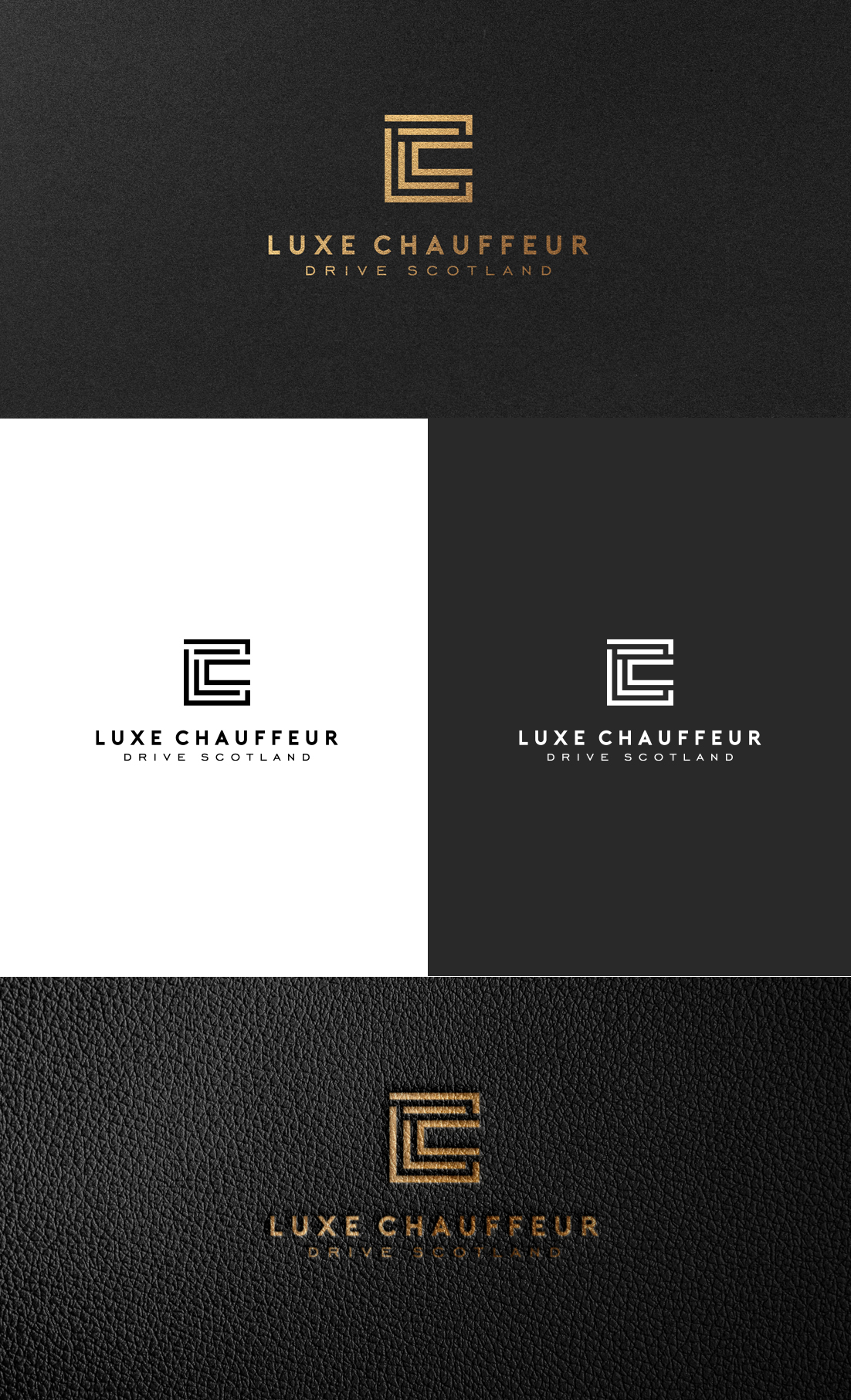 Logo Design by GLDesigns for Business Image Services Ltd | Design #27732419