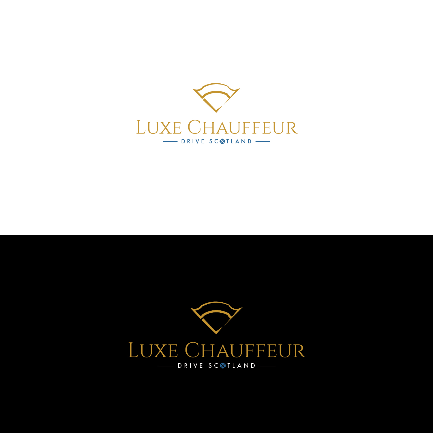 Design de Logo par MG.graphics pour Business Image Services Ltd | Design #27733498