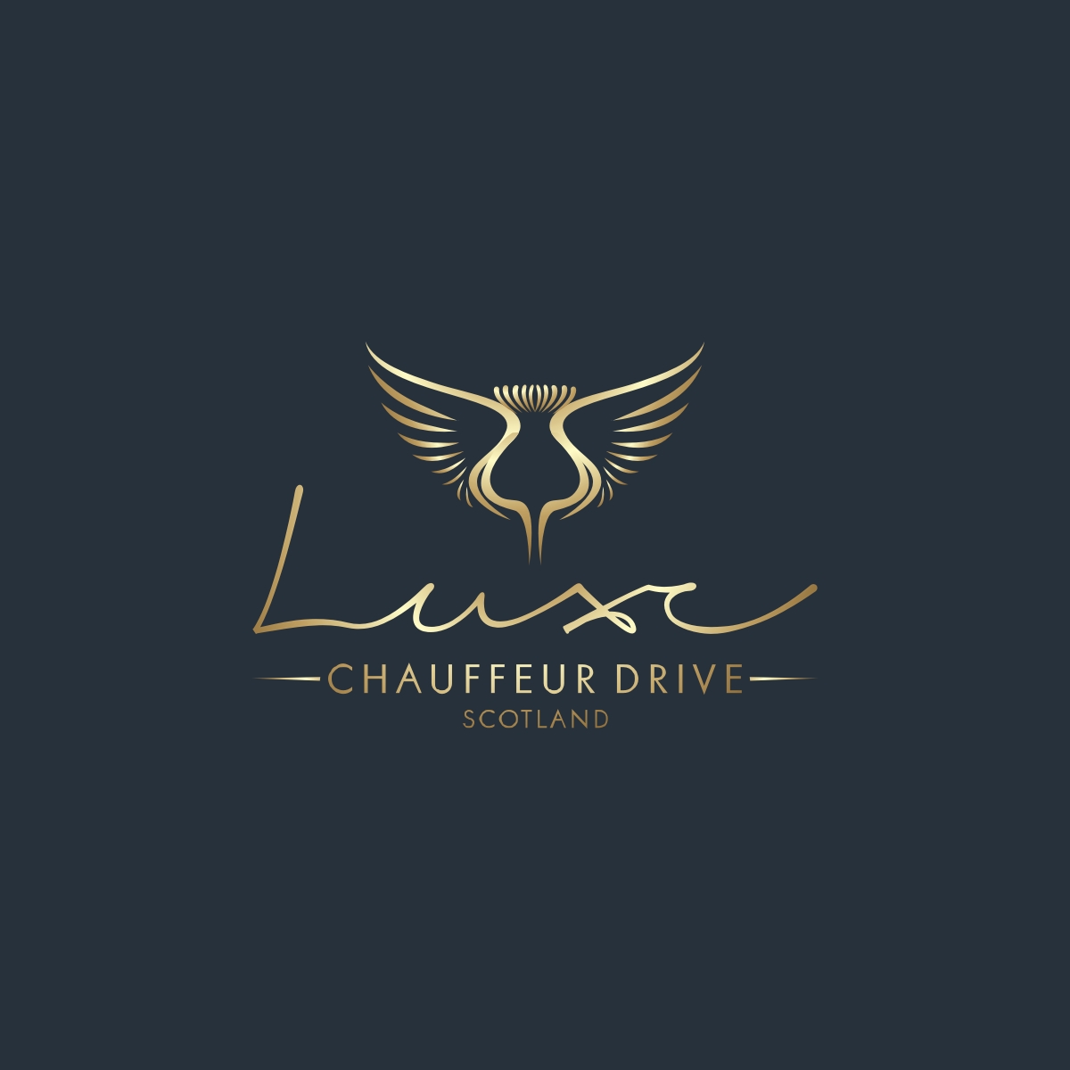 Logo Design by N83touchthesky for Business Image Services Ltd | Design #27737576