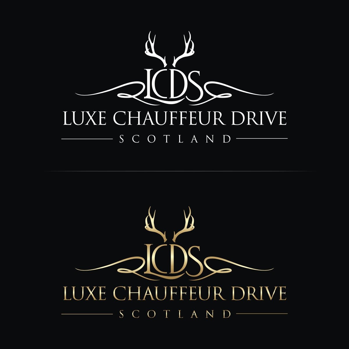 Logo Design by N83touchthesky for Business Image Services Ltd | Design #27742787