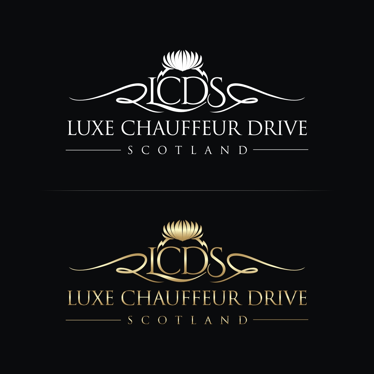Logo Design by N83touchthesky for Business Image Services Ltd | Design #27755337