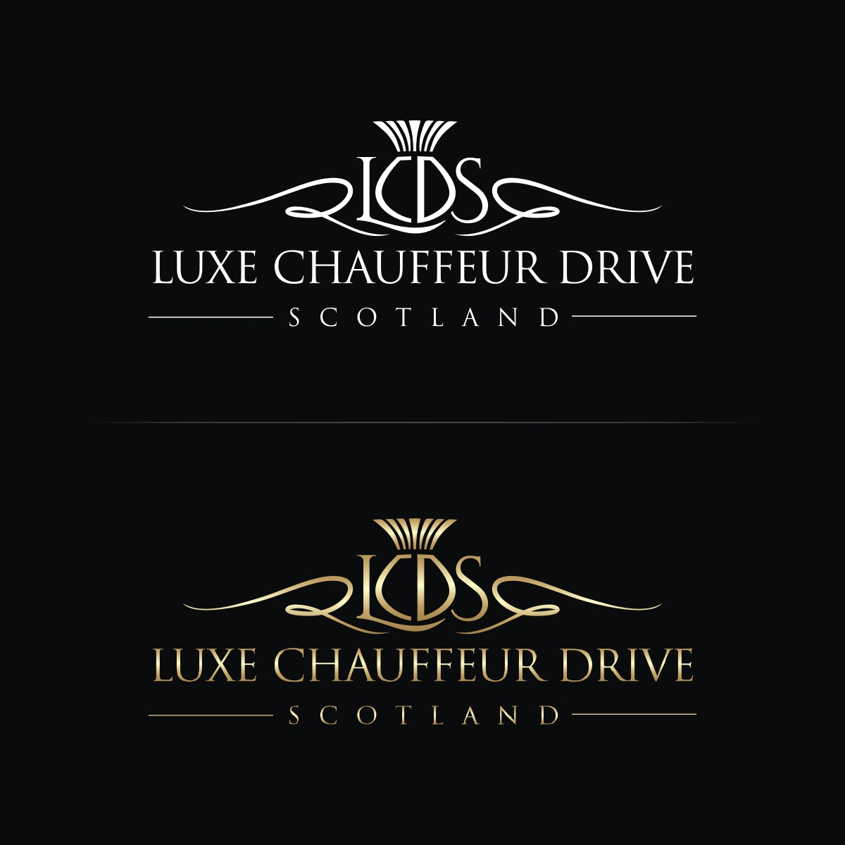 Logo Design by N83touchthesky for Business Image Services Ltd | Design #27785312