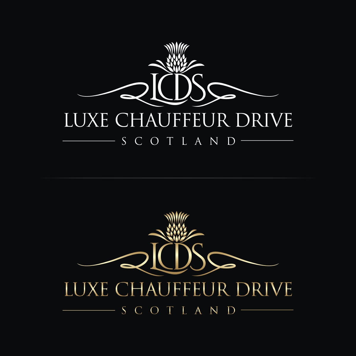 Logo Design by N83touchthesky for Business Image Services Ltd | Design #27785322