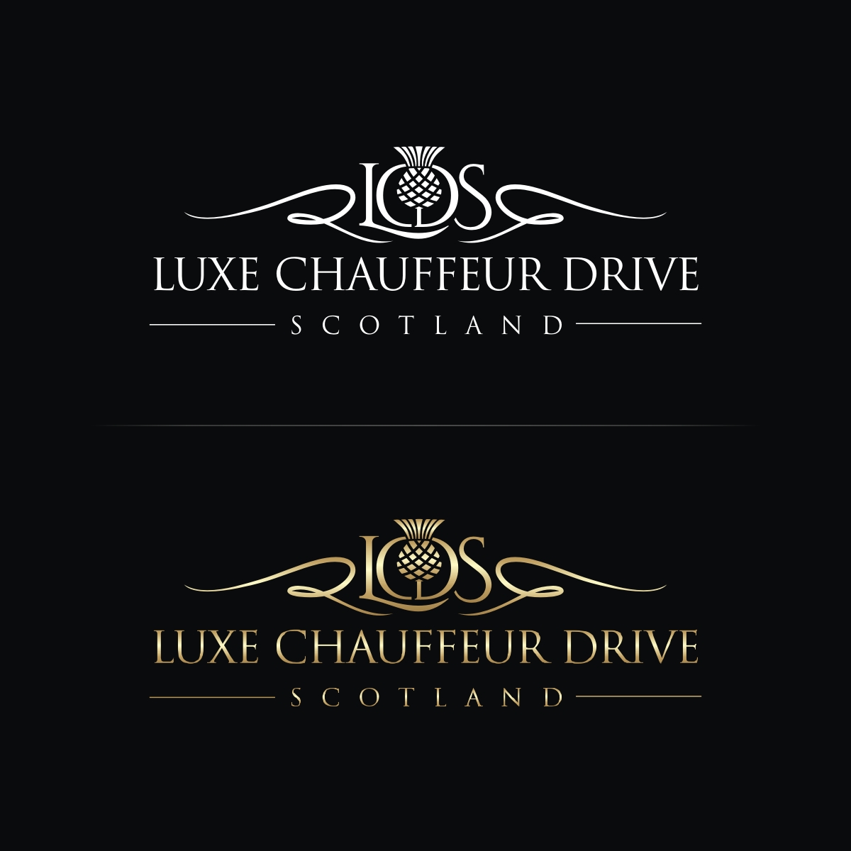 Logo Design by N83touchthesky for Business Image Services Ltd | Design #27785325