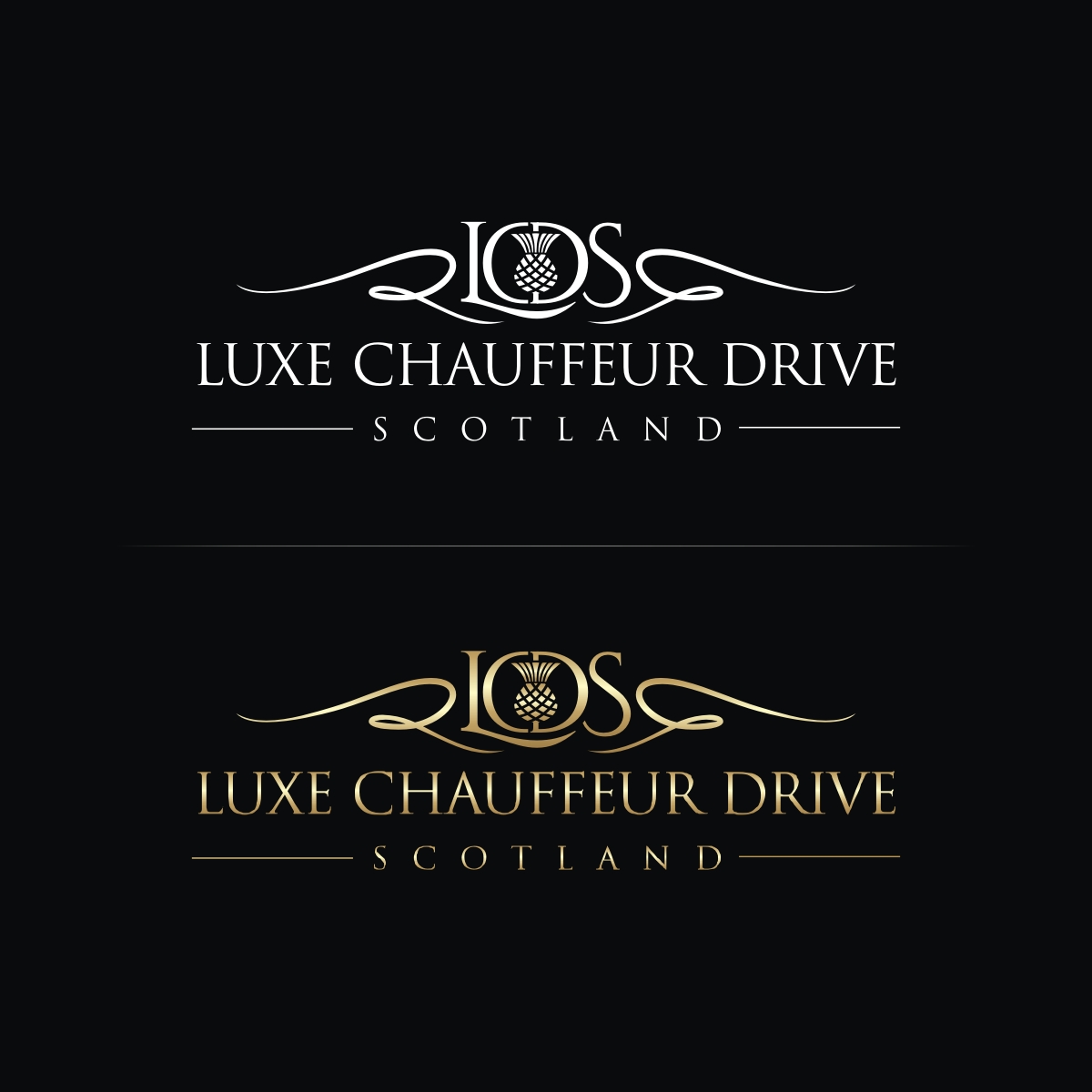 Logo Design by N83touchthesky for Business Image Services Ltd | Design #27785328