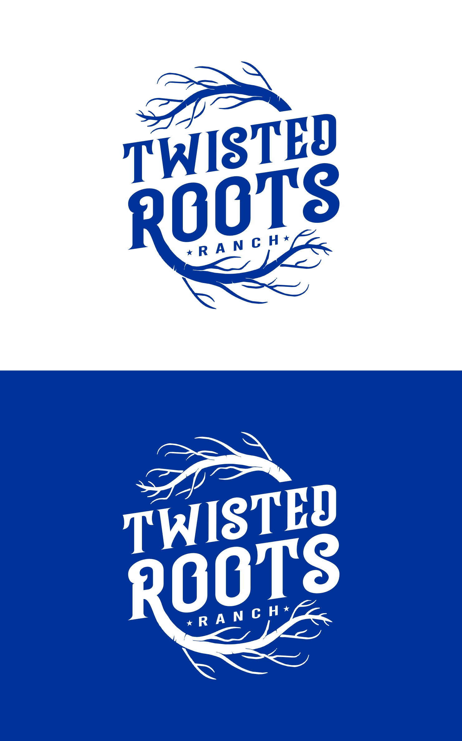 Logo Design by filip.jelkic for this project | Design #27768118