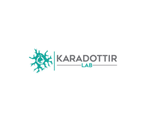 Logo Design by adobehead