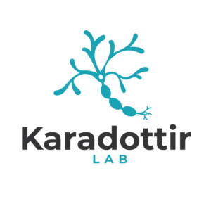 Logo Design by Aware Designer
