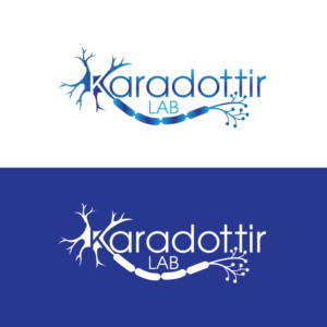 Diseño de Logo por geni para este proyecto | Diseño #27762370