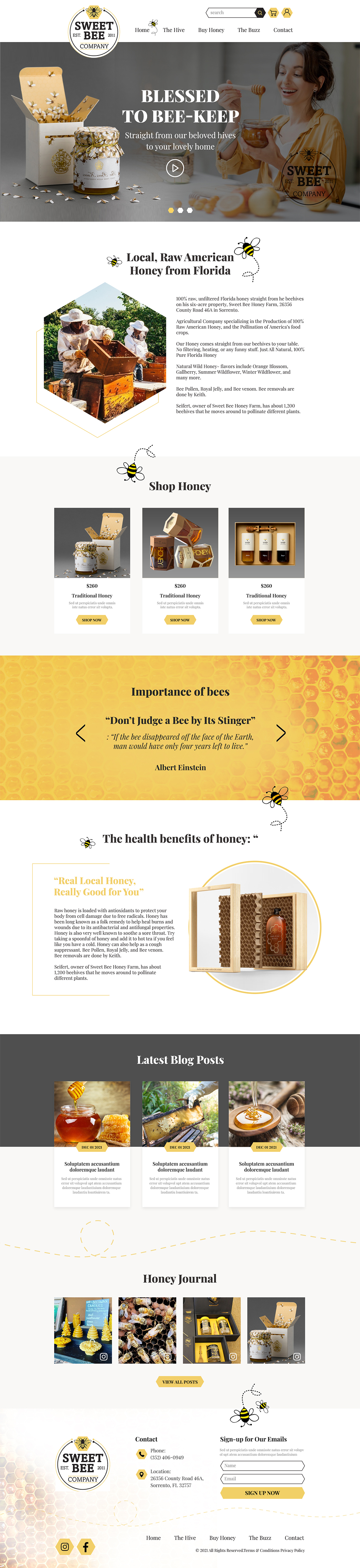 Web Design by MAHABA for this project | Design: #27746657