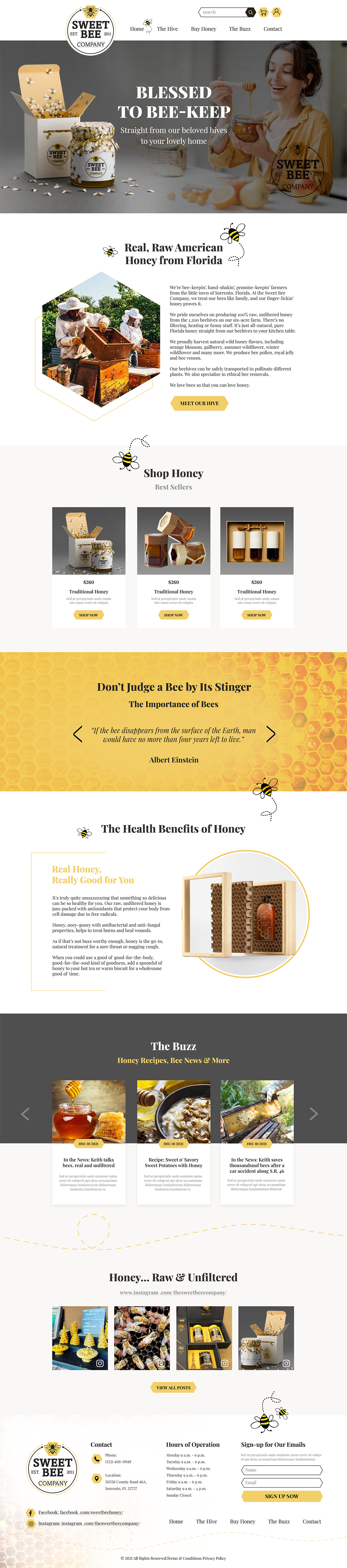 Web Design by MAHABA for this project | Design #27808346