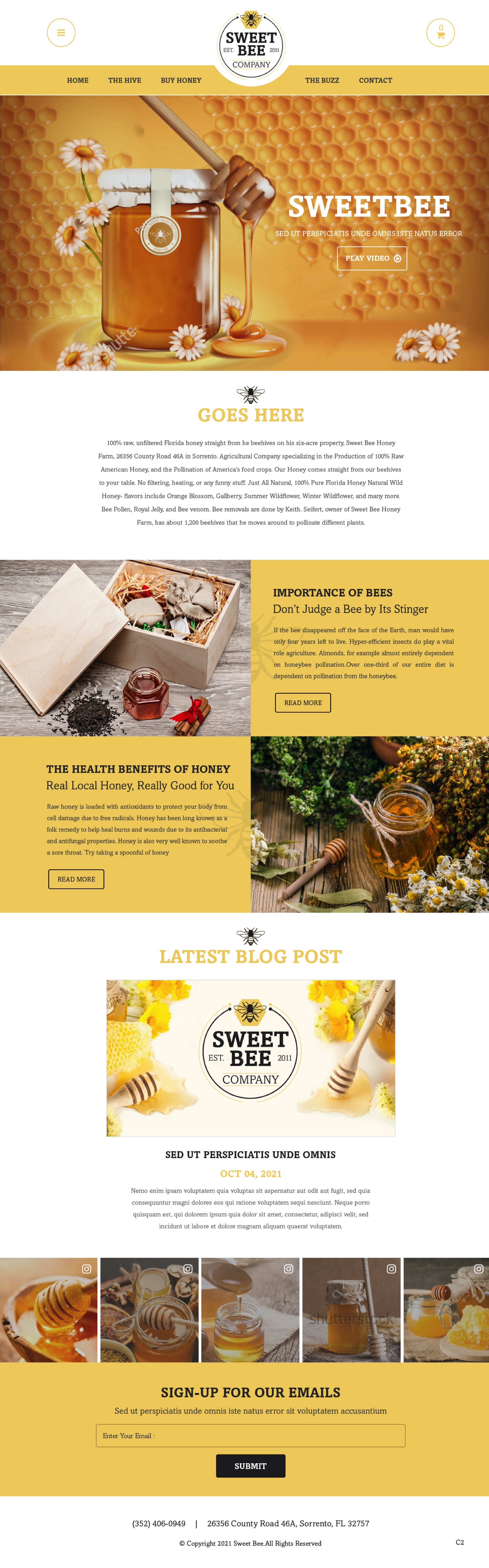 Web Design by pb for this project | Design #27749885