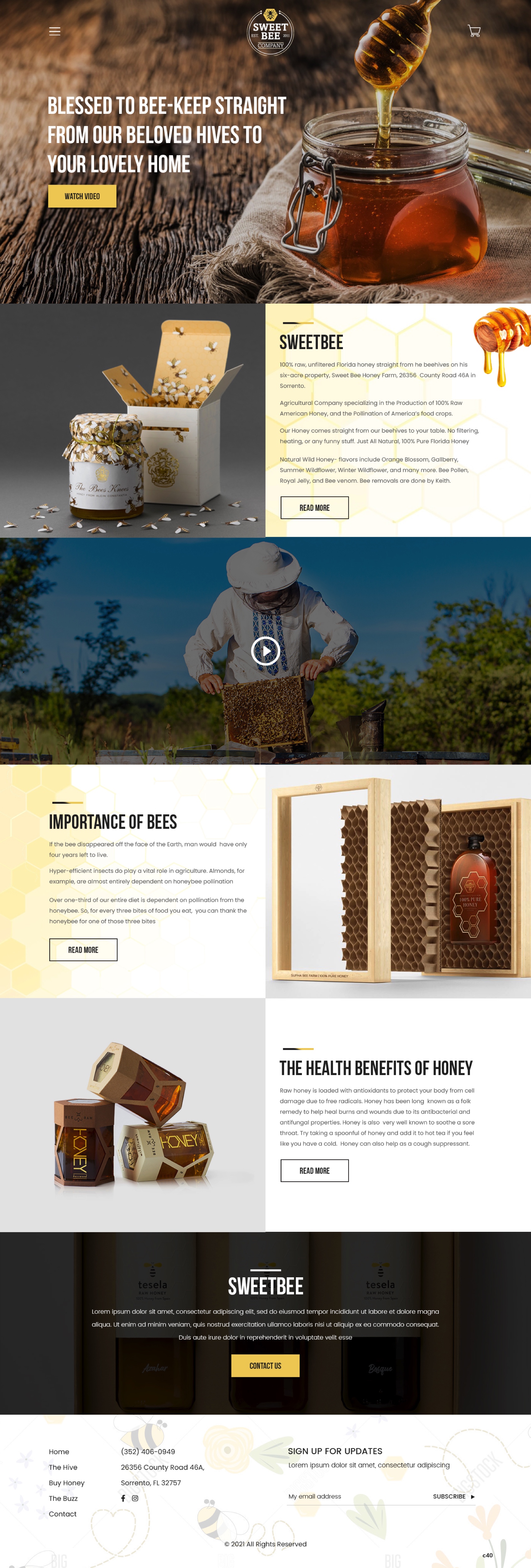 Diseño Web por pb para este proyecto | Diseño #27749887