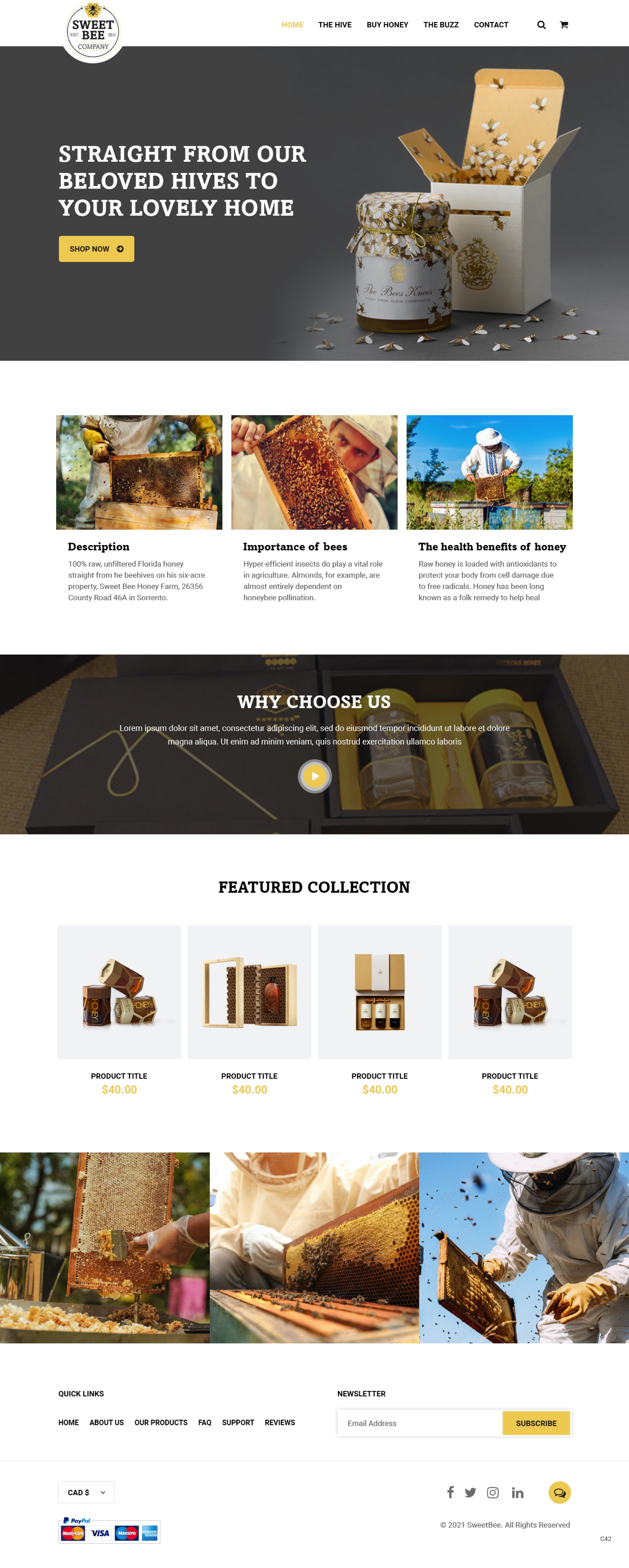 Diseño Web por pb para este proyecto | Diseño #27749891
