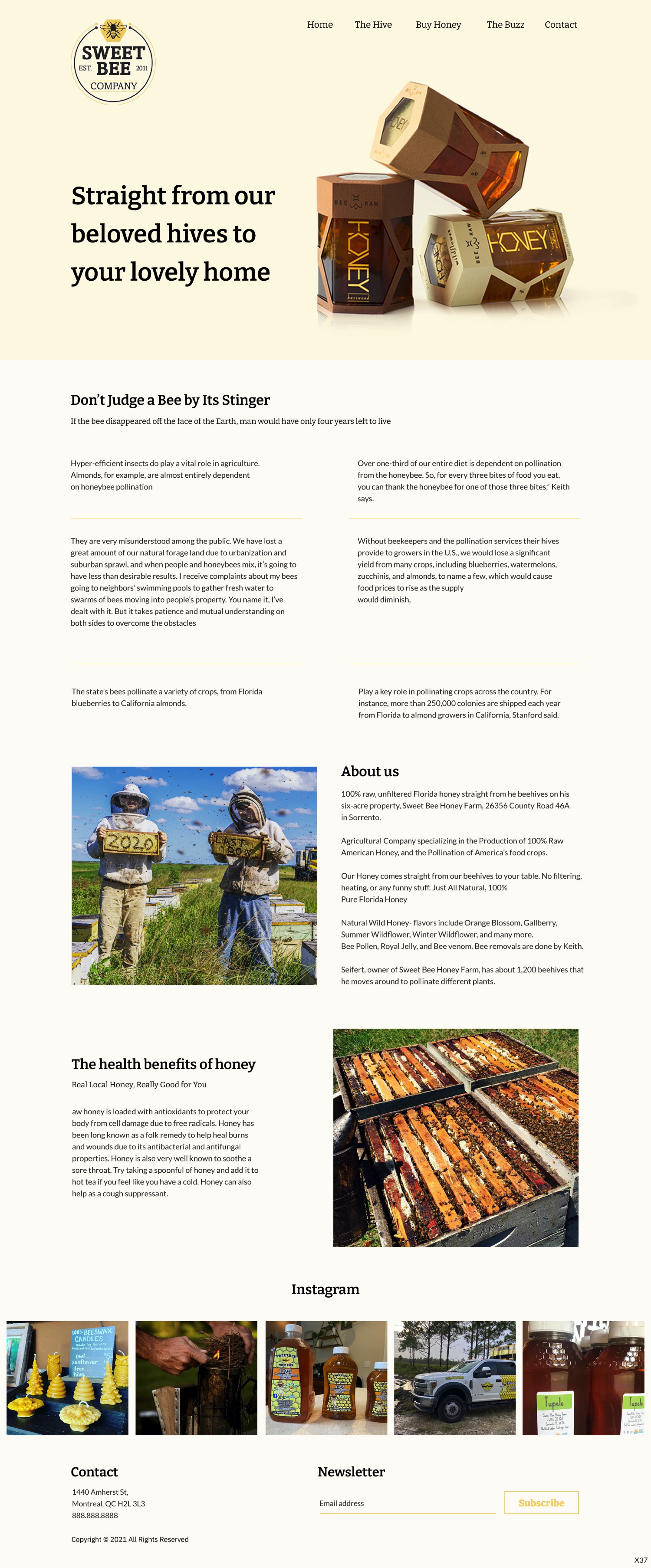 Web Design by pb for this project | Design #27749902