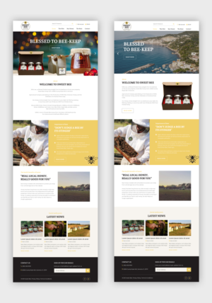 Web Design by Starlyn DS