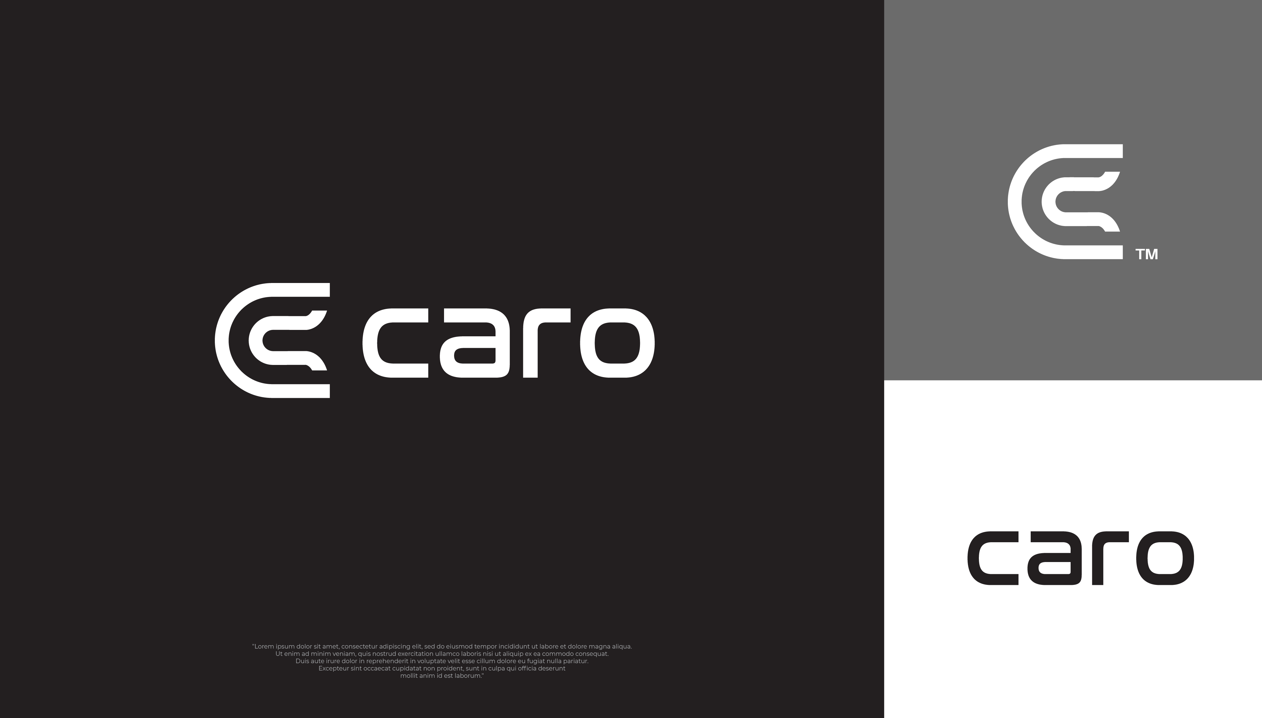 Logo Design by DerpJuls for Royal Computers | Design #27809537