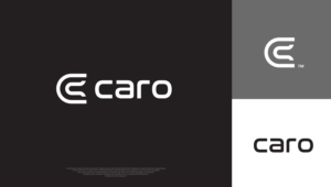 Logo Design by DerpJuls for Royal Computers | Design: #27809537