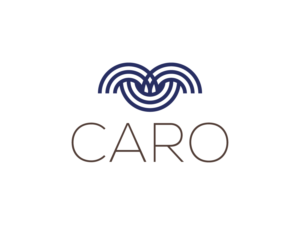 Logo Design by GTX Lab for Royal Computers | Design: #27786929